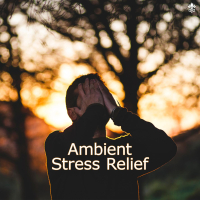 Ambient Stress Relief (Single)