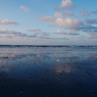 borrowed thoughts (Single)