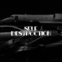 Self Destruction (Single)