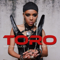 Toro (Single)