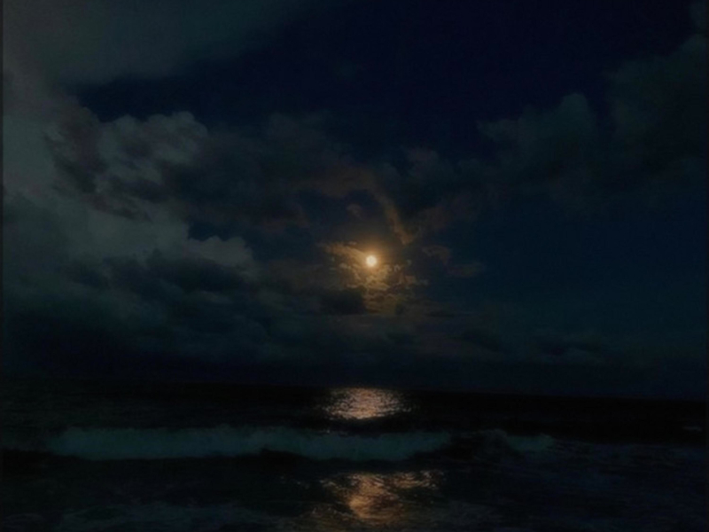 moonlight on the river (instrumental best part) (Single)