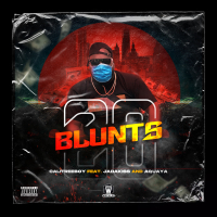 20 Blunts (feat. Jadakiss & Aquaya) (Single)