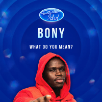 What Do You Mean? (Australian Idol Performance) (Single)