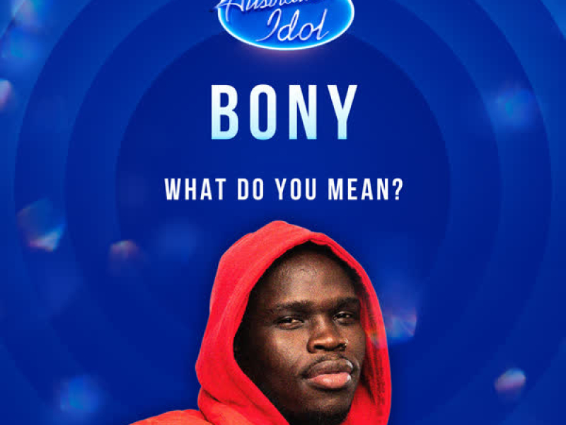 What Do You Mean? (Australian Idol Performance) (Single)