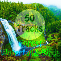 50 Tracks Forest Waterfall & Birds Sounds with Ambient Music Nature Sounds for Meditation Relaxation Spa Study (Single)