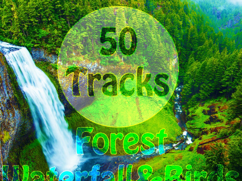 50 Tracks Forest Waterfall & Birds Sounds with Ambient Music Nature Sounds for Meditation Relaxation Spa Study (Single)