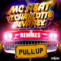Pull Up (Remixes)
