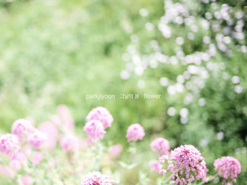 그날의 봄 FLOWER (Single)