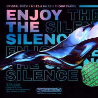 Enjoy the Silence (Single)