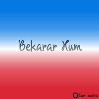 Bekarar Hum (Single)