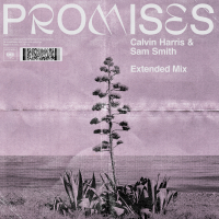 Promises (Extended Mix) (Single)