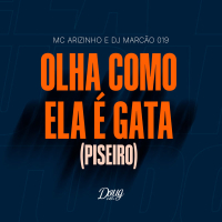 Olha Como Ela é Gata (Piseiro) (Single)