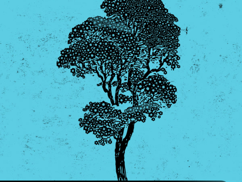 So It Begins (Single)