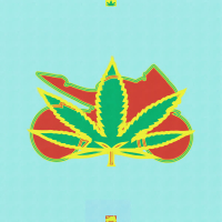 El Moto y La Mota (Single)