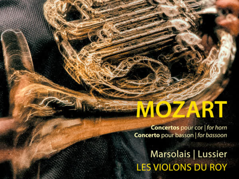 Mozart: Horn Concertos & Bassoon Concerto