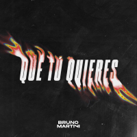 QUE TÚ QUIERES (Single)