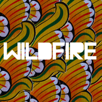 Wildfire (Single)
