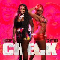 Check (Single)