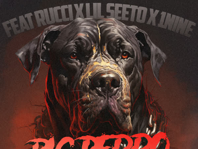 Big Perro (feat. Rucci, Lil Seeto & 1nine) (Single)
