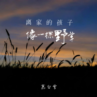 离家的孩子像一棵野草 (Single)