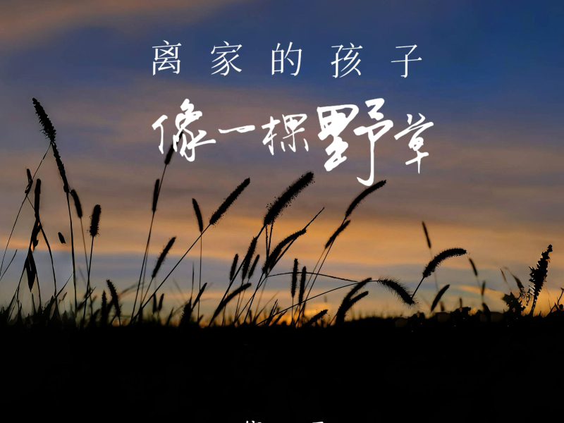 离家的孩子像一棵野草 (Single)