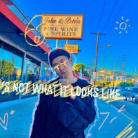 It's not what it looks like (Single)