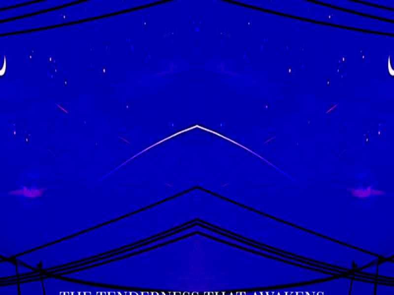 The Tenderness That Awakens Passion