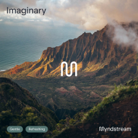 Imaginary (Single)