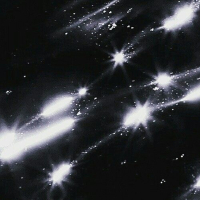 Nuts (Instrumental Extended) (Single)