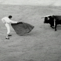 Splitting The Atom (Single)