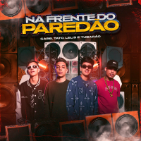 Na Frente Do Paredão (Single)