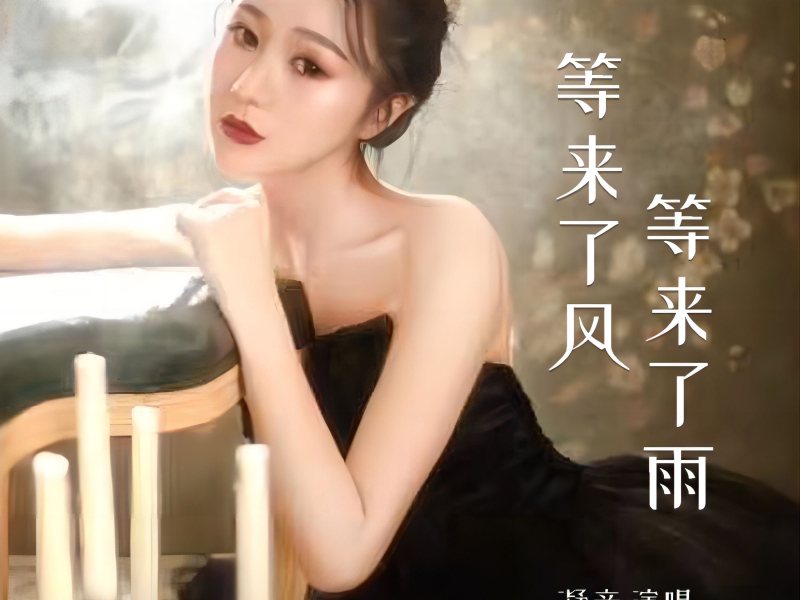 等来了风等来了雨 (Single)
