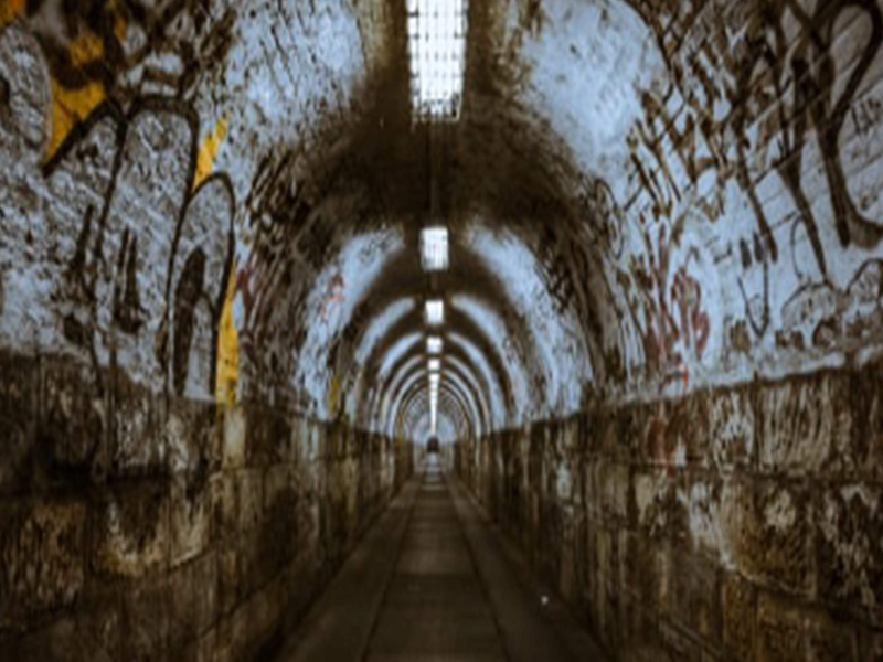 Path of Life (Single)