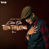 Cảm Ơn Tổn Thương (Hiron Remix) (Single)