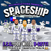 Spaceship (Single)