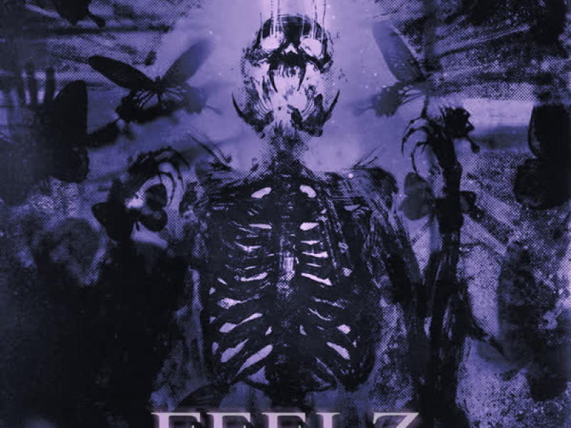 Feelz (Single)
