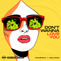 Don't Wanna Love You (Single)