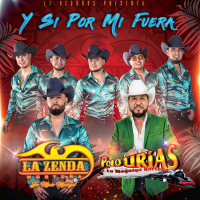 Y Si Por Mi Fuera (Single)