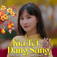 Kìa Tết Đang Sang (Remix) (Single)