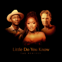Little Do You Know (The Remixes) (EP)