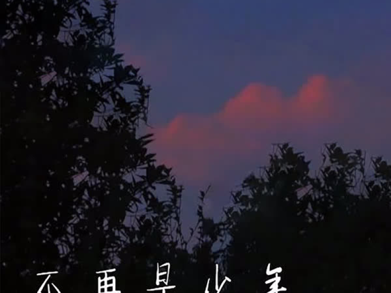 不再是少年 (Single)