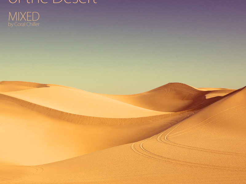 Ambient Stories Of The Desert (Continuous Mix) (Single)