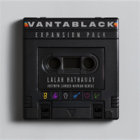 #BITMFW (Amber Navran Remix) (Single)