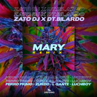 Mary Remix (Single)