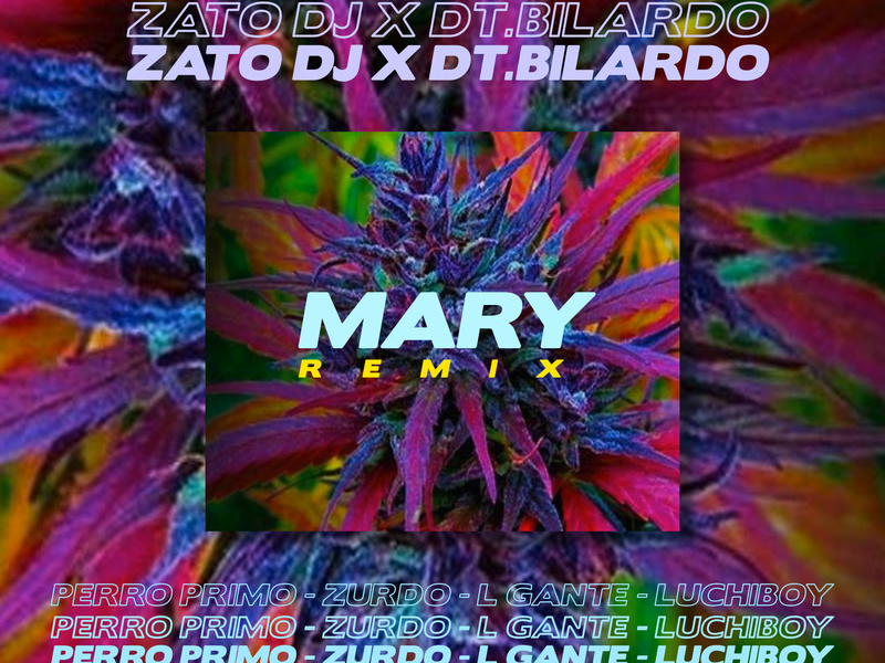 Mary Remix (Single)