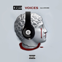 Voices (feat. Metro Boomin)