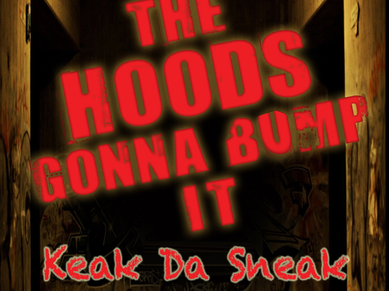 The Hoods Gonna Bump It