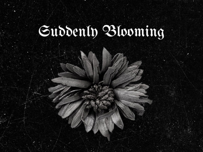 Suddenly Blooming (Single)