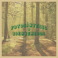 Fotosíntesis + Bienvenidos (En Directo Desde El Desierto) (Single)