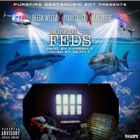 Duckin' the Feds (Single)